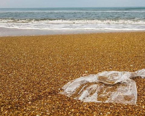 Beach e Park litter, oltre 40mila rifiuti raccolti in 3 anni