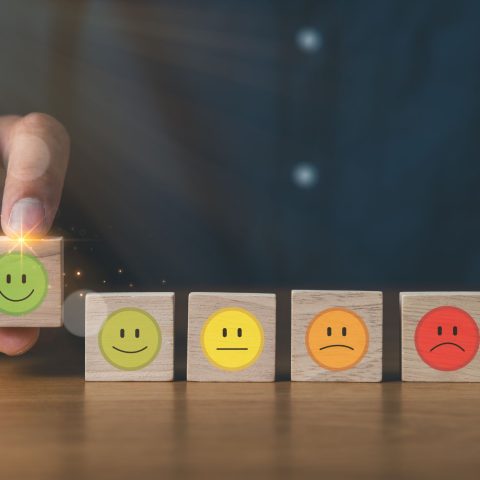 Soddisfazione lavoro canva