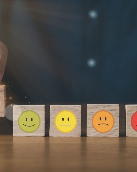 Soddisfazione lavoro canva