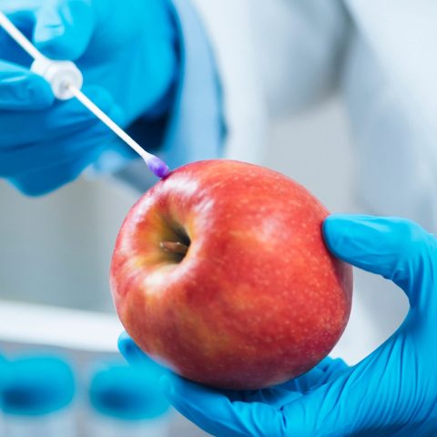 Analisi mele pesticidi canva