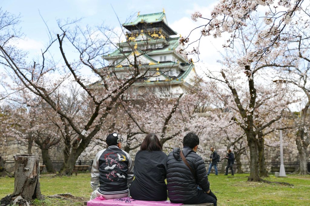 Ciliegi fioriti giappone ipa ftg