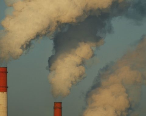 Infrazioni ambientali storyblocks