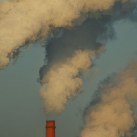 Infrazioni ambientali storyblocks