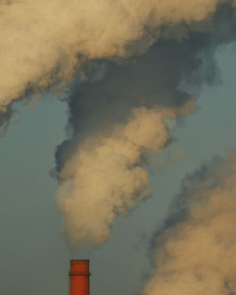 Infrazioni ambientali storyblocks