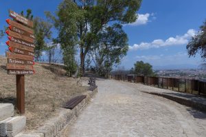 Roma, la Via Francigena allinterno della Riserva Naturale di Monte Mario