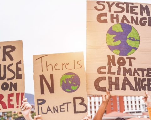 Manifestanti ambientalisti canva