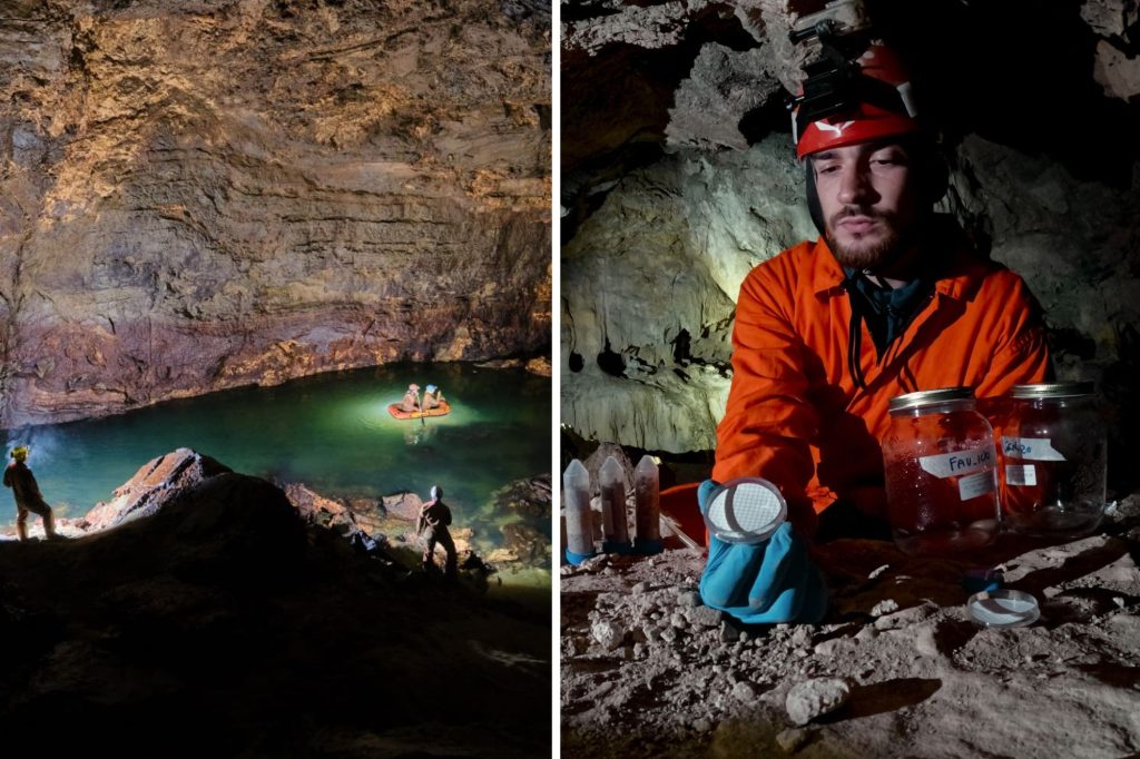 Ricerca microplastica universita trieste