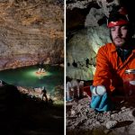 Ricerca microplastica universita trieste