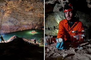 Ricerca microplastica universita trieste