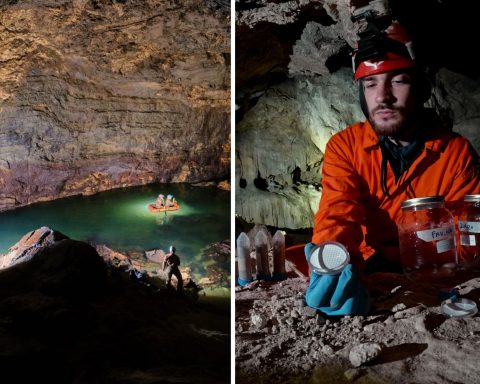 Ricerca microplastica universita trieste