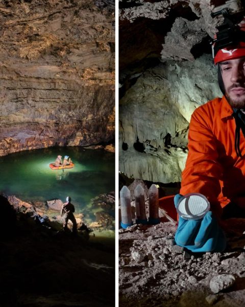 Ricerca microplastica universita trieste