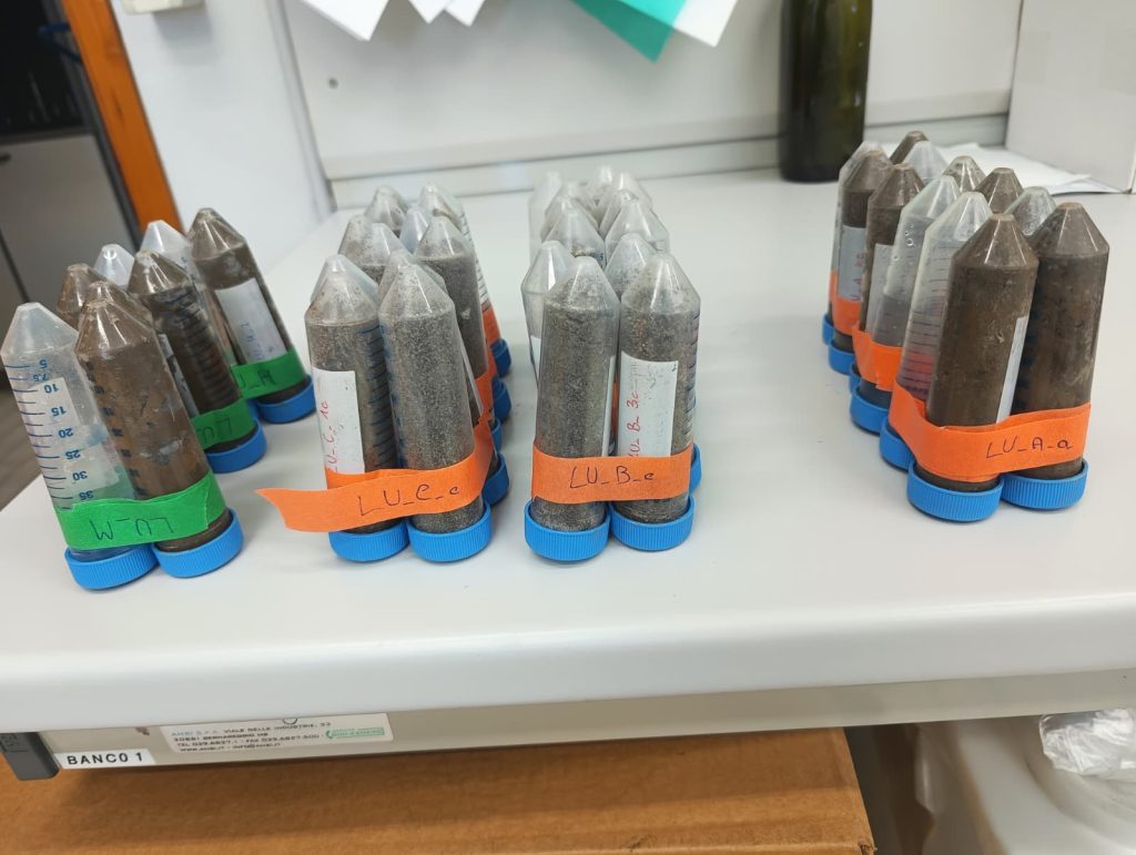 Campioni dettaglio microplastiche carso triste universita