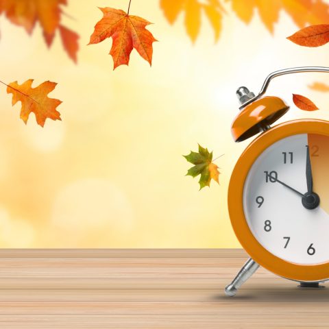 Cambio ora legale canva