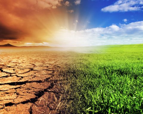 ISO adattamento climatico storyb