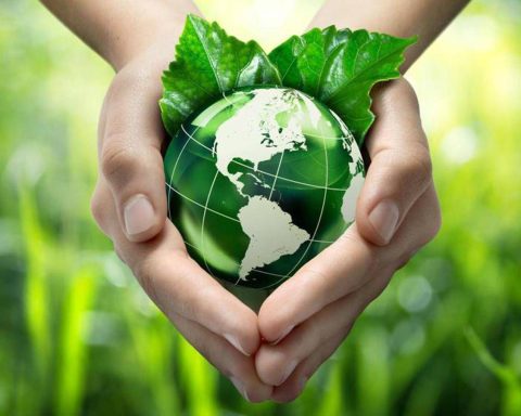 Colucci (Circularity): "Nel 2026 la circolarità diventa condizione per competere"