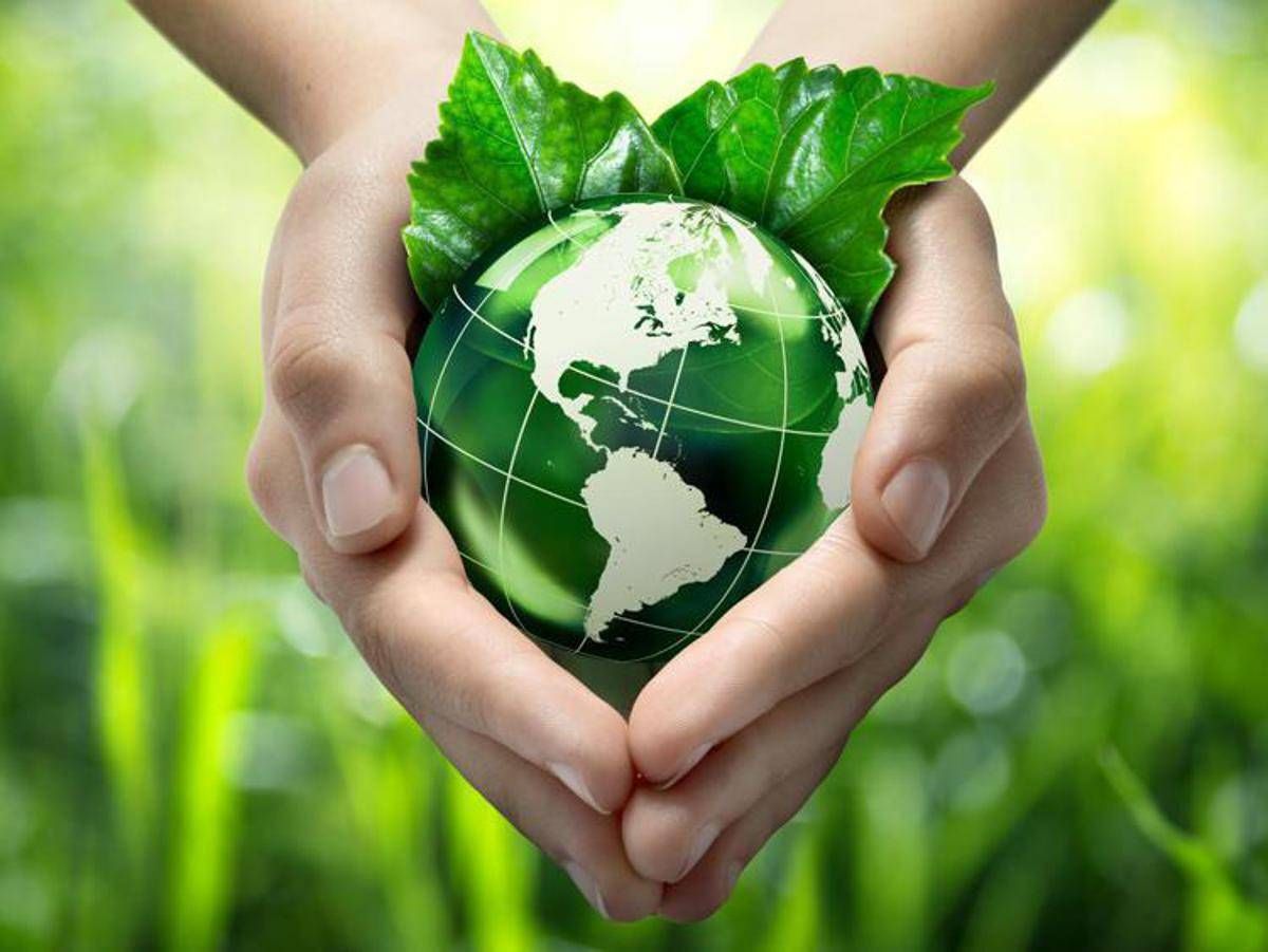 Colucci (Circularity): "Nel 2026 la circolarità diventa condizione per competere"