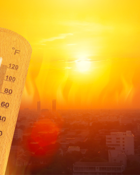 Riscaldamento globale