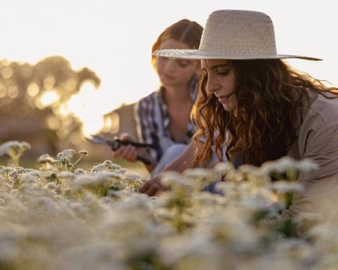 Sostenibilità, torna 'The Good Farmer Award': candidature aperte fino al 15 maggio