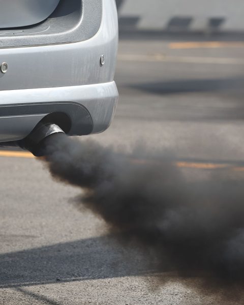 Inquinamento atmosferico canva