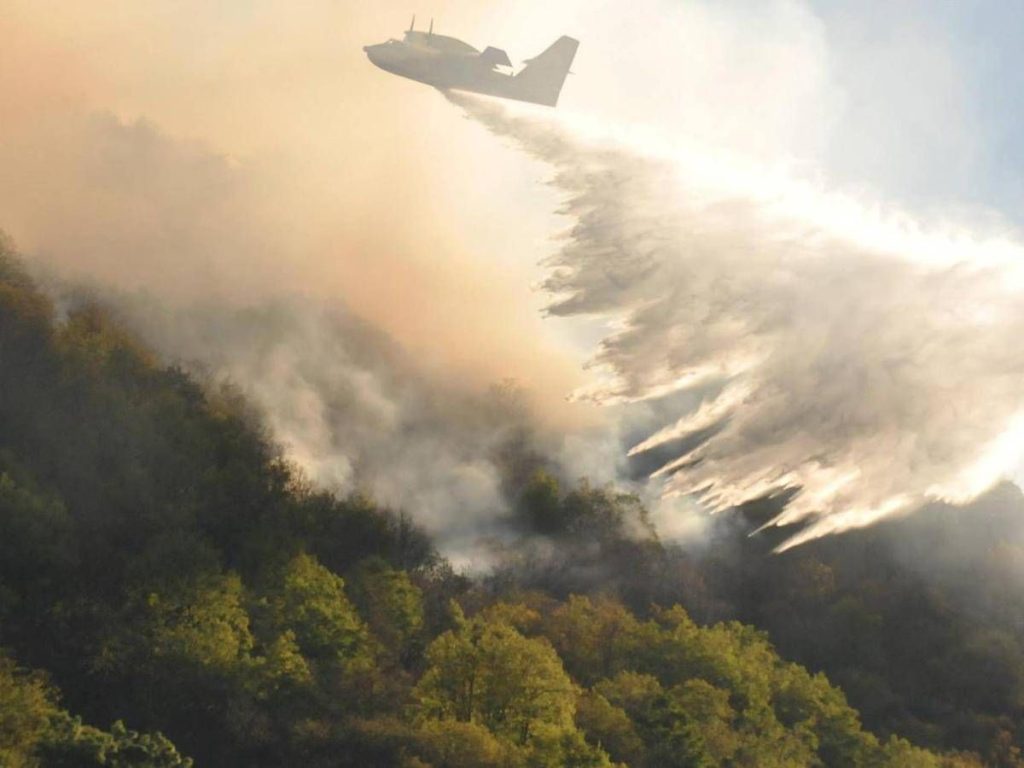 Clima e foreste europee: incendi, tempeste e infestazioni in aumento