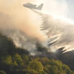 Clima e foreste europee: incendi, tempeste e infestazioni in aumento