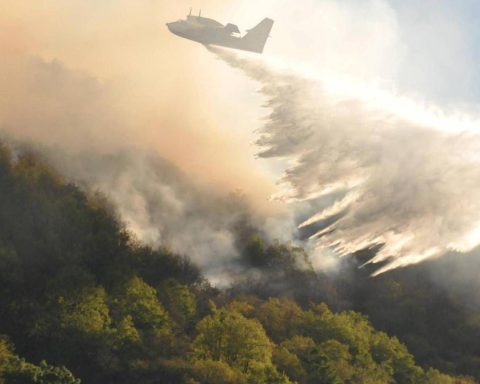 Clima e foreste europee: incendi, tempeste e infestazioni in aumento