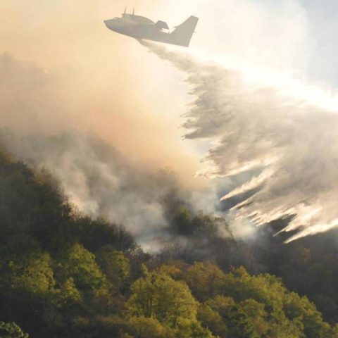 Clima e foreste europee: incendi, tempeste e infestazioni in aumento