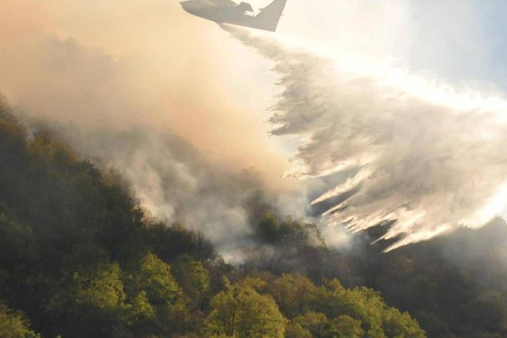 Clima e foreste europee: incendi, tempeste e infestazioni in aumento