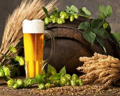 Materiali per la produzione di una birra