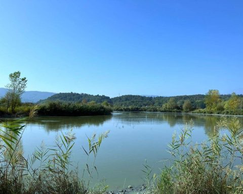 World Water Day, Sanpellegrino lancia Fonte