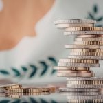 Reddito famiglie canva