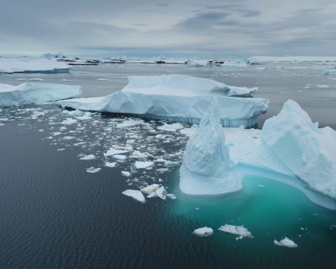 Ghiaccio artico colab