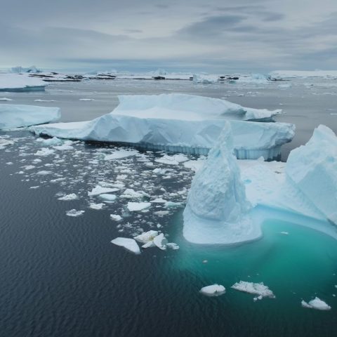 Ghiaccio artico colab