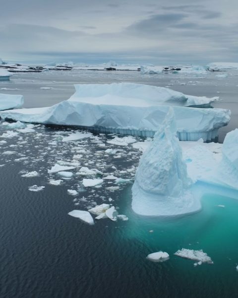 Ghiaccio artico colab