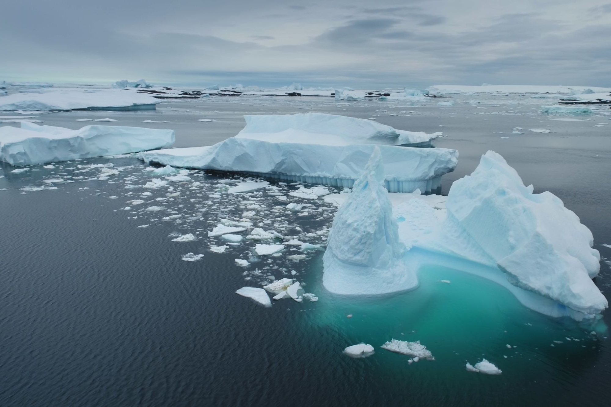 Ghiaccio artico colab