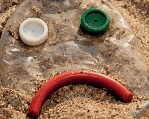 Indagine Beach Litter: oltre 50mila mozziconi di sigaretta raccolti in 12 anni