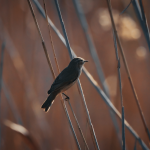 Passero uccellino canva