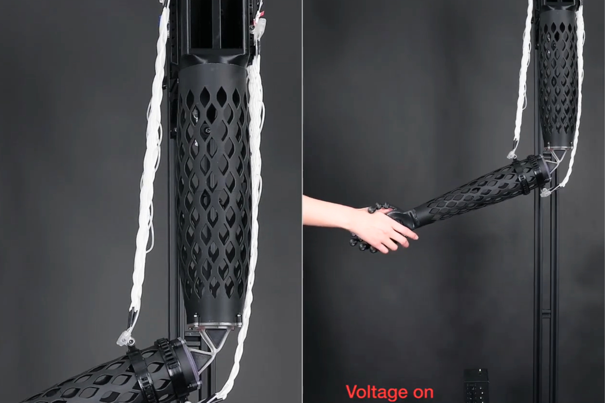 Muscolo artificiale elettrofluidico poliba mit