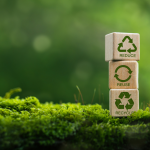 Economia circolare verde canva