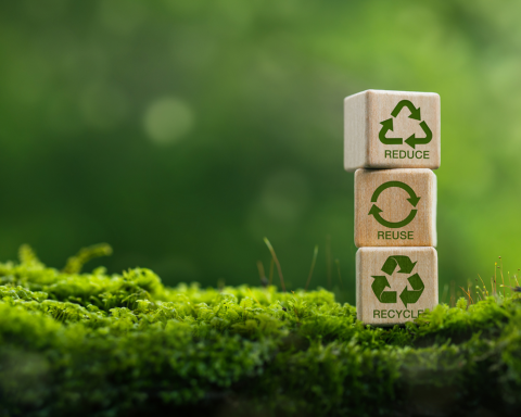 Economia circolare verde canva