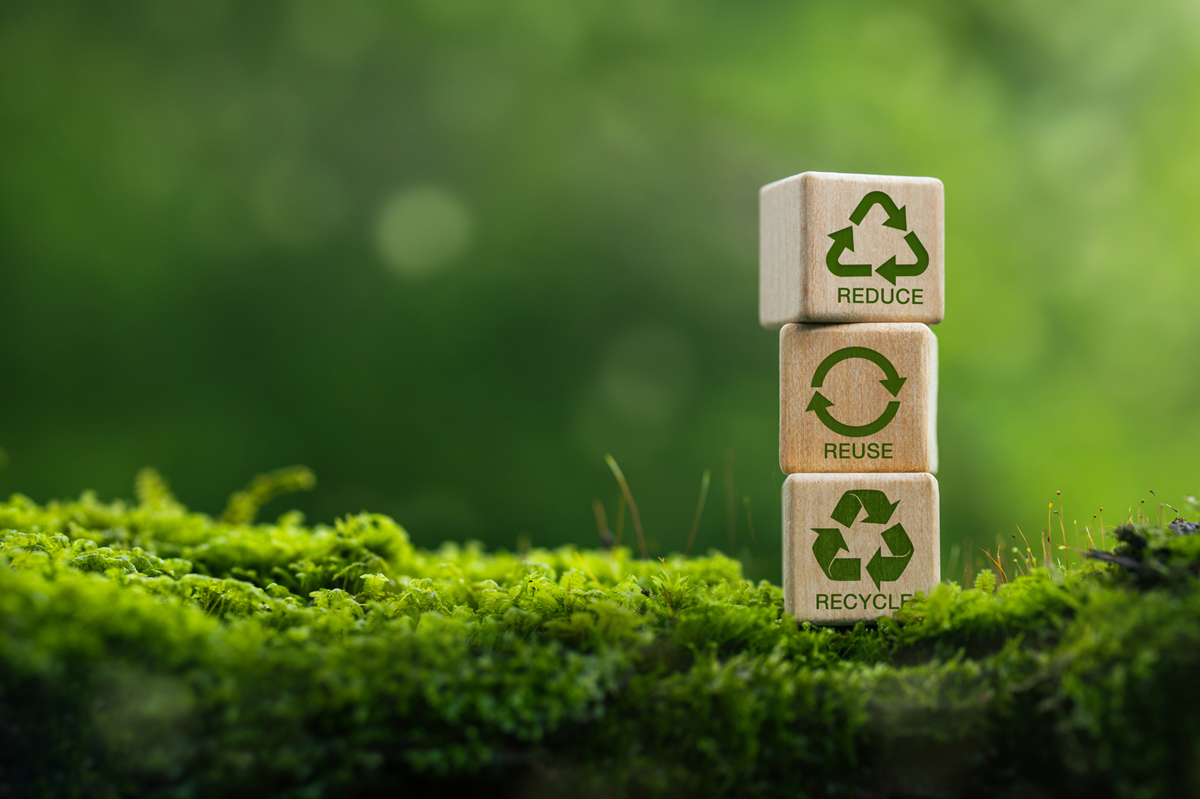 Economia circolare verde canva