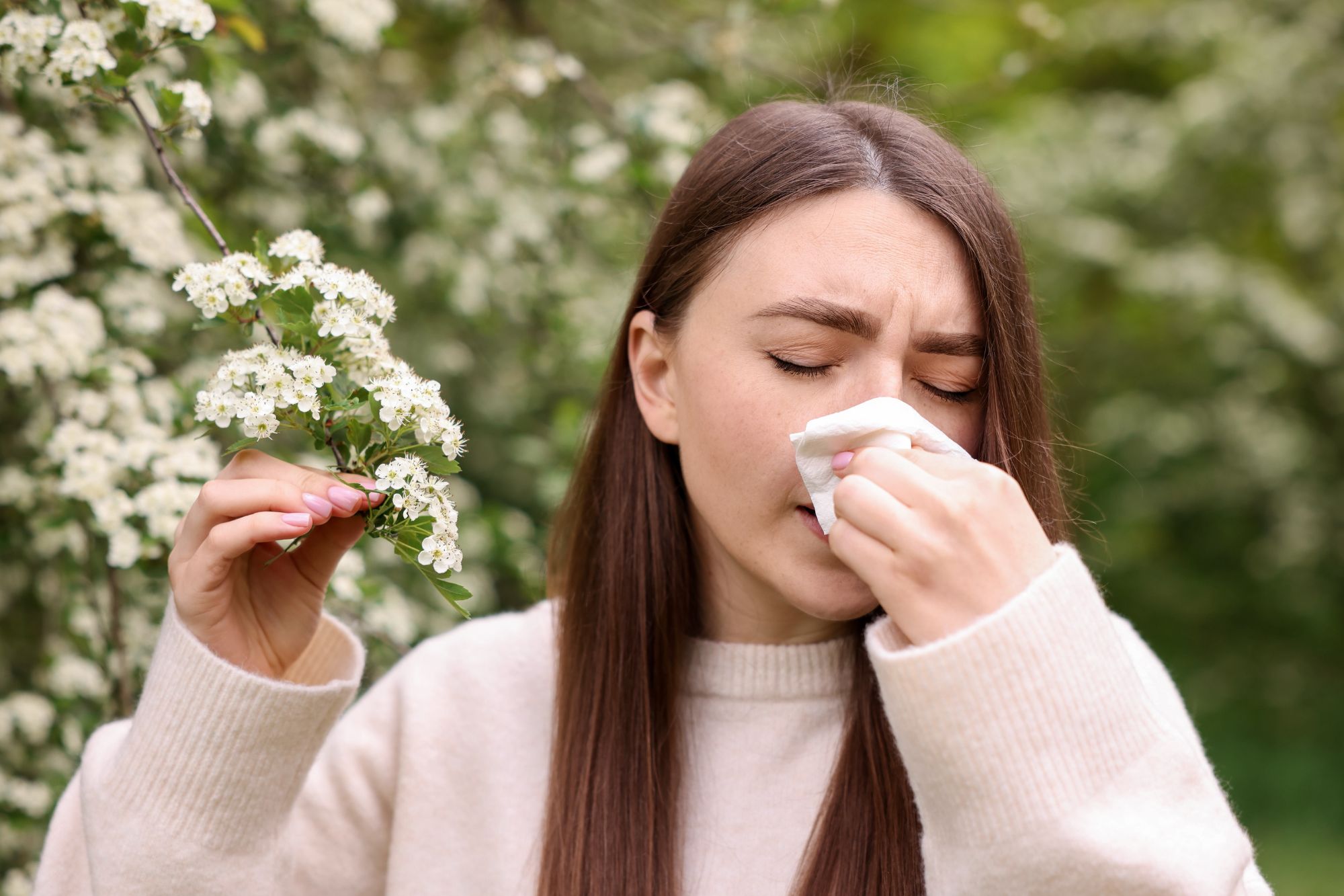 Allergia polline canva