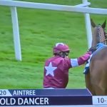 Gold Dancer cavallo abbattuto frattura spinale