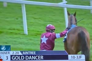 Gold Dancer cavallo abbattuto frattura spinale