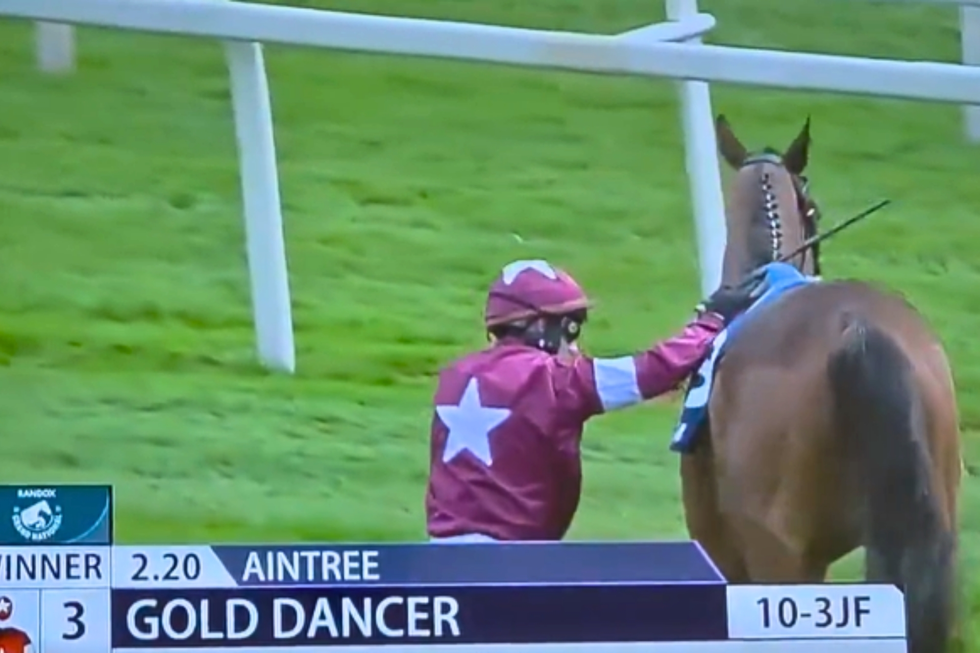 Gold Dancer cavallo abbattuto frattura spinale