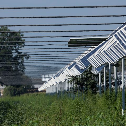 Impianto Agrivoltaico canva