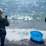 Turiste americane astici in mare pompei castellamare di stabia