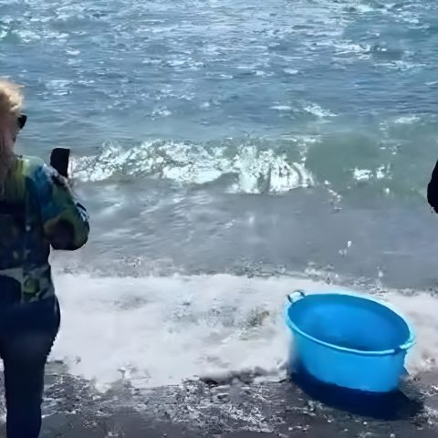 Turiste americane astici in mare pompei castellamare di stabia