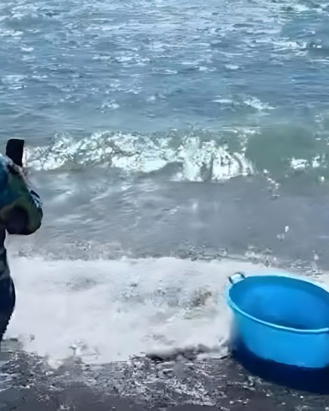 Turiste americane astici in mare pompei castellamare di stabia