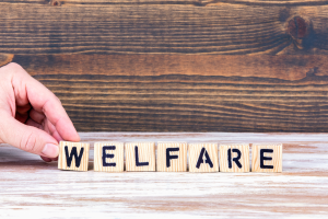 Welfare aziendale